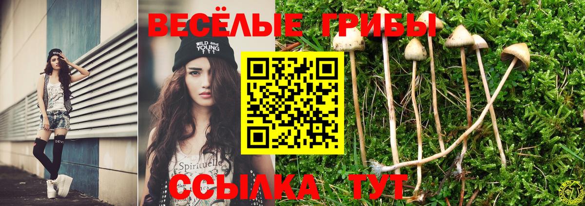 Галлюциногенные грибы Cubensis Калач-на-Дону